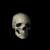 smallerskull